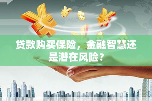 措勤贷款购买保险，金融智慧还是潜在风险？