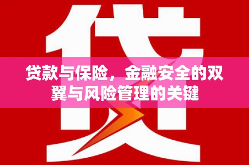 怀化贷款与保险，金融安全的双翼与风险管理的关键