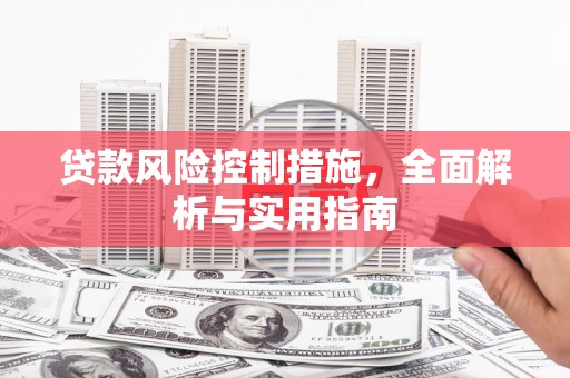 江阳贷款风险控制措施，全面解析与实用指南
