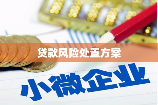 宛城贷款风险处置方案
