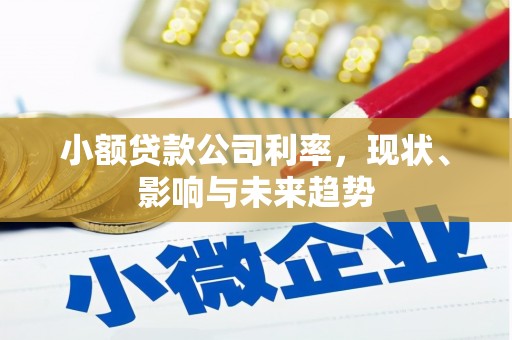 新河小额贷款公司利率，现状、影响与未来趋势