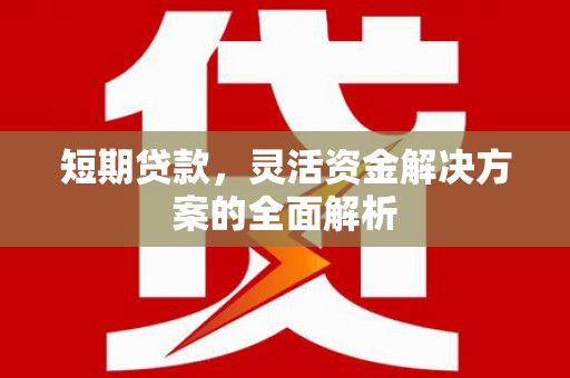 邯郸短期贷款，灵活资金解决方案的全面解析
