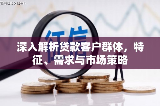 东丽深入解析贷款客户群体，特征、需求与市场策略