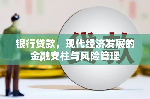卓尼银行贷款，现代经济发展的金融支柱与风险管理