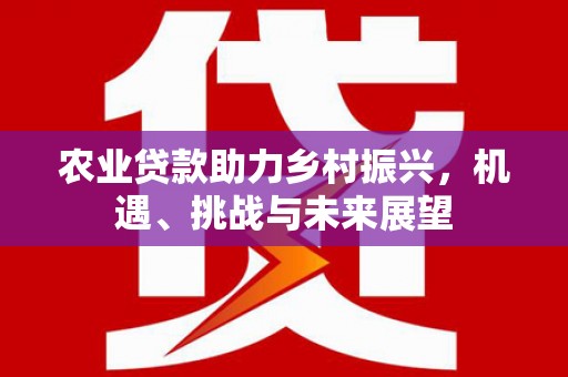 抚州农业贷款助力乡村振兴，机遇、挑战与未来展望