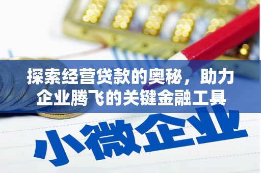 暖暖探索经营贷款的奥秘，助力企业腾飞的关键金融工具