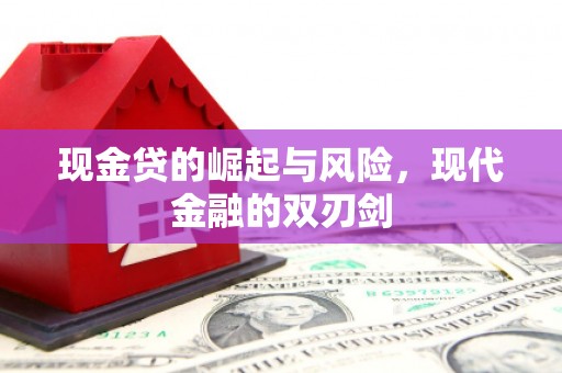 泌阳现金贷的崛起与风险，现代金融的双刃剑