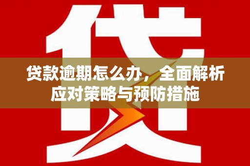 卑南贷款逾期怎么办，全面解析应对策略与预防措施