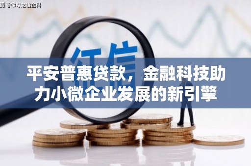 沧源平安普惠贷款，金融科技助力小微企业发展的新引擎