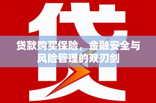 荔城贷款购买保险，金融安全与风险管理的双刃剑
