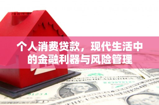 西和个人消费贷款，现代生活中的金融利器与风险管理