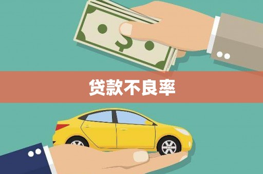 宝兴贷款不良率