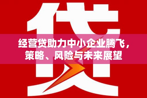 叶县经营贷助力中小企业腾飞，策略、风险与未来展望