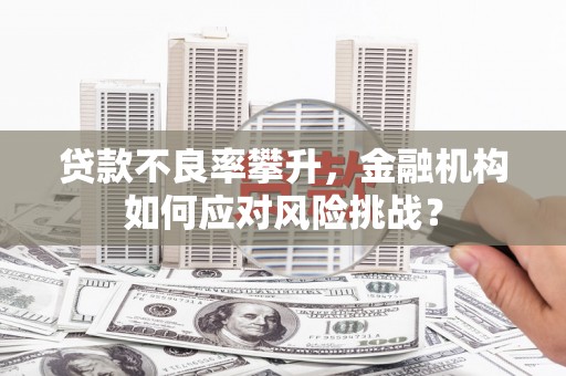 新华贷款不良率攀升，金融机构如何应对风险挑战？