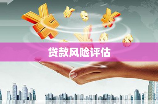 喜德贷款风险评估