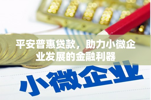丰原平安普惠贷款，助力小微企业发展的金融利器