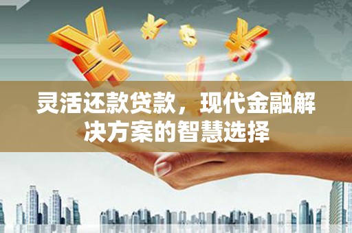 资源灵活还款贷款，现代金融解决方案的智慧选择