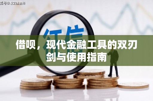 士林借呗，现代金融工具的双刃剑与使用指南