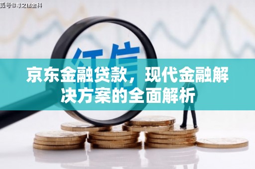 龙口京东金融贷款，现代金融解决方案的全面解析
