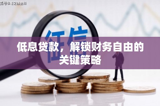 新埤低息贷款，解锁财务自由的关键策略