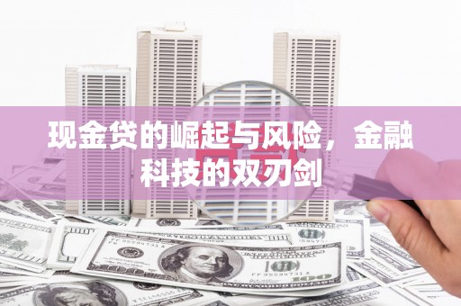 泸溪现金贷的崛起与风险，金融科技的双刃剑