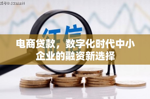 桐城电商贷款，数字化时代中小企业的融资新选择