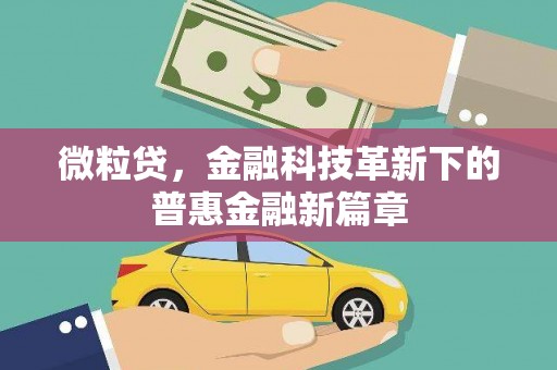 芦洲微粒贷，金融科技革新下的普惠金融新篇章