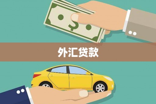 雁山外汇贷款