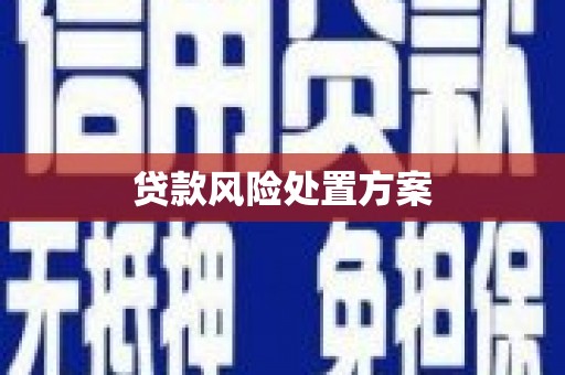 嘉祥贷款风险处置方案