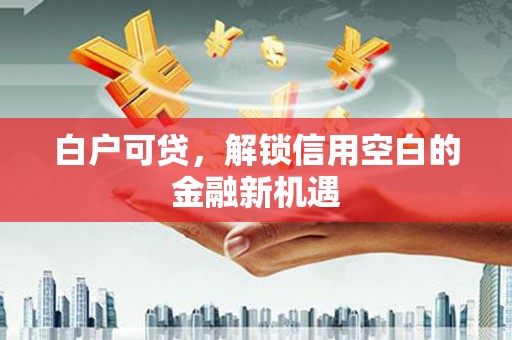 靖州白户可贷，解锁信用空白的金融新机遇