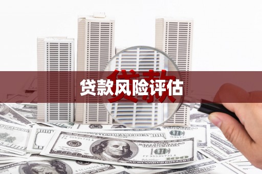 桐庐贷款风险评估