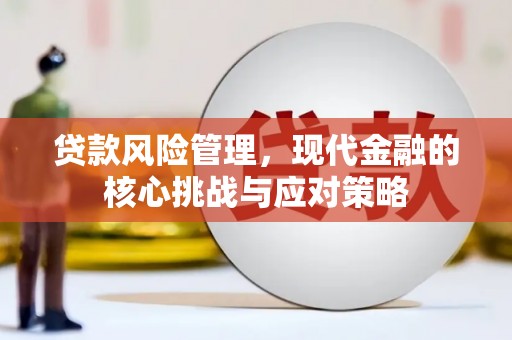城关贷款风险管理，现代金融的核心挑战与应对策略
