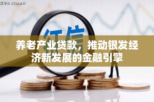 泸县养老产业贷款，推动银发经济新发展的金融引擎
