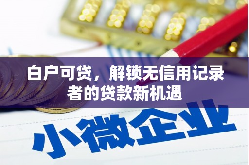 暖暖白户可贷，解锁无信用记录者的贷款新机遇