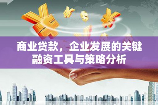 蕲春商业贷款，企业发展的关键融资工具与策略分析