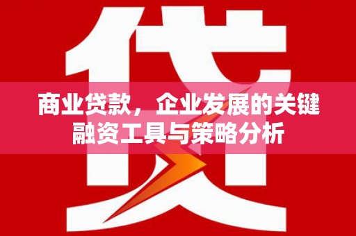 萨嘎商业贷款，企业发展的关键融资工具与策略分析