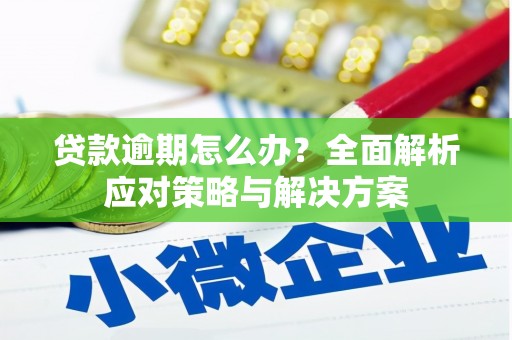 丰城贷款逾期怎么办？全面解析应对策略与解决方案