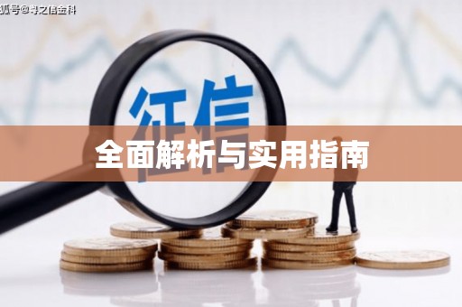 利辛全面解析与实用指南