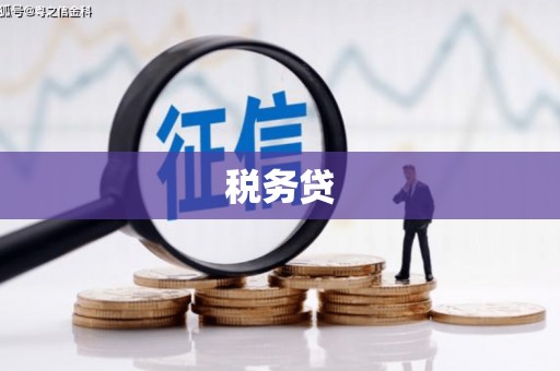 临县税务贷