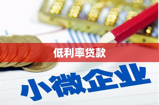 岳塘低利率贷款