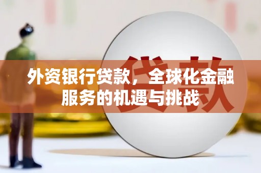 林甸外资银行贷款，全球化金融服务的机遇与挑战
