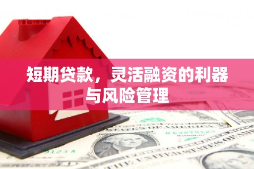 厚街短期贷款，灵活融资的利器与风险管理