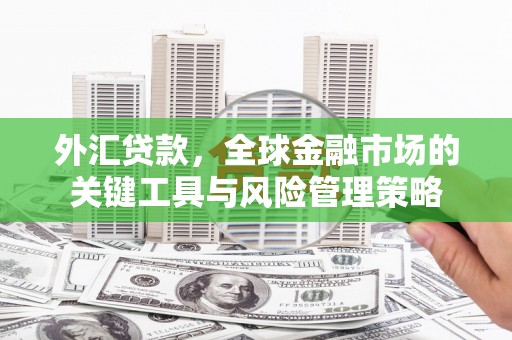麒麟外汇贷款，全球金融市场的关键工具与风险管理策略
