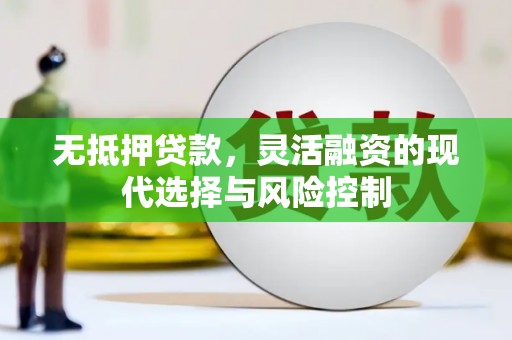 寻乌无抵押贷款，灵活融资的现代选择与风险控制