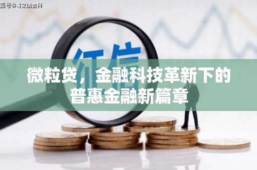 弥陀微粒贷，金融科技革新下的普惠金融新篇章