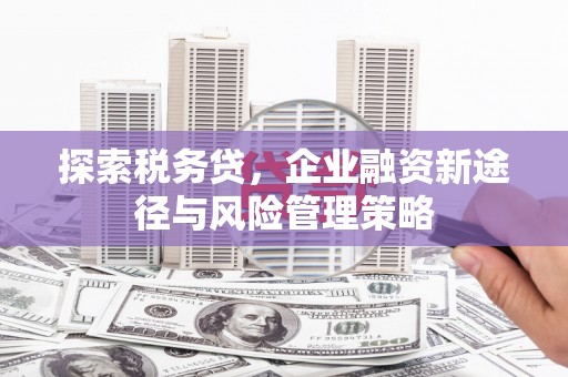 应县探索税务贷，企业融资新途径与风险管理策略