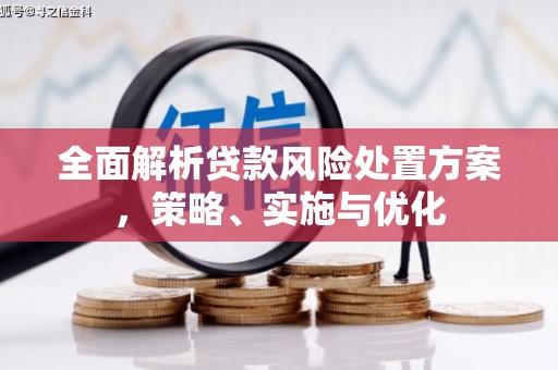 荥阳全面解析贷款风险处置方案，策略、实施与优化