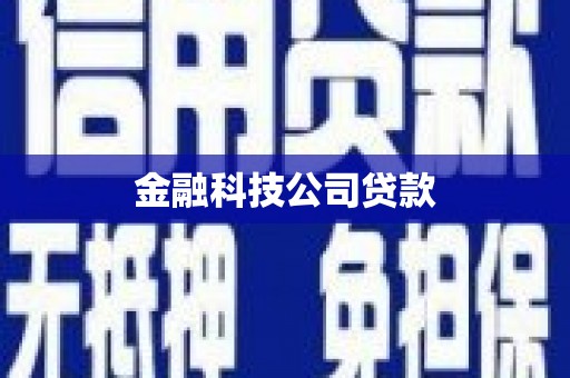 康县金融科技公司贷款