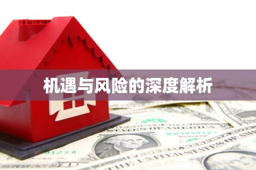 德宏机遇与风险的深度解析