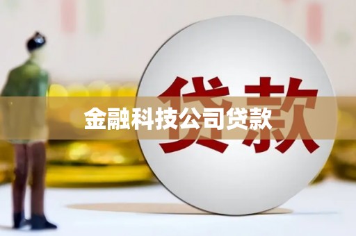 墨玉金融科技公司贷款